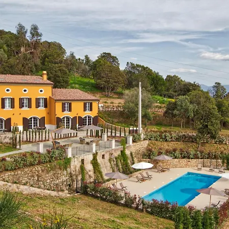 Le Domaine Saint Francois La Tour 1 Lejlighed Ajaccio (Corsica)